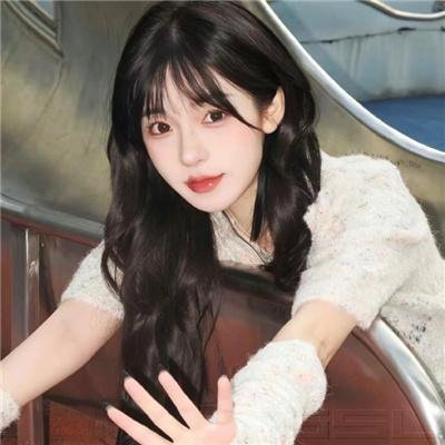 乱马12：热斗篇